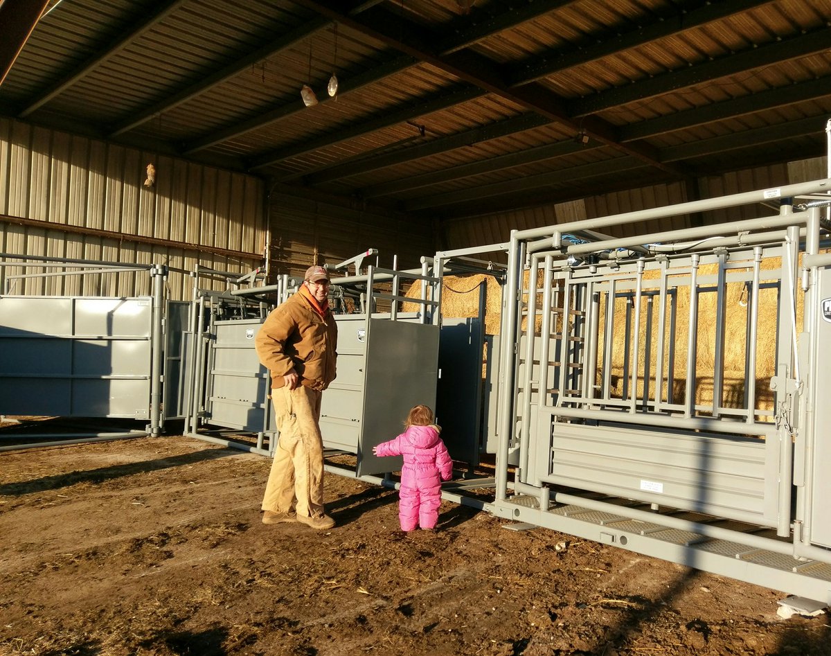 HomeplaceFarms's tweet photo. #Pearson working equipment #beefcattle  #farmlife #farmkids #grassfed #grazing #grass #farmer #beef https://t.co/EpHlwa6eO8