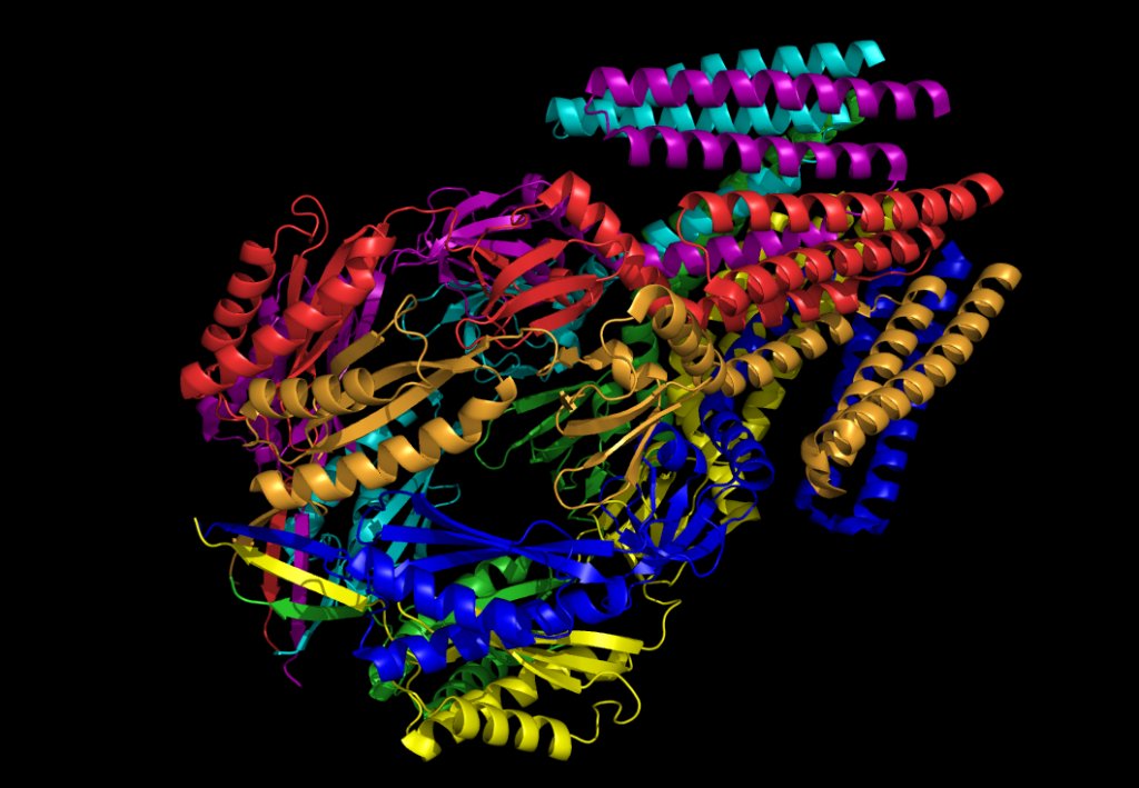 ScienceMomNet's tweet photo. Proteins https://t.co/RocbXAhm09 https://t.co/isbwmDs9aF