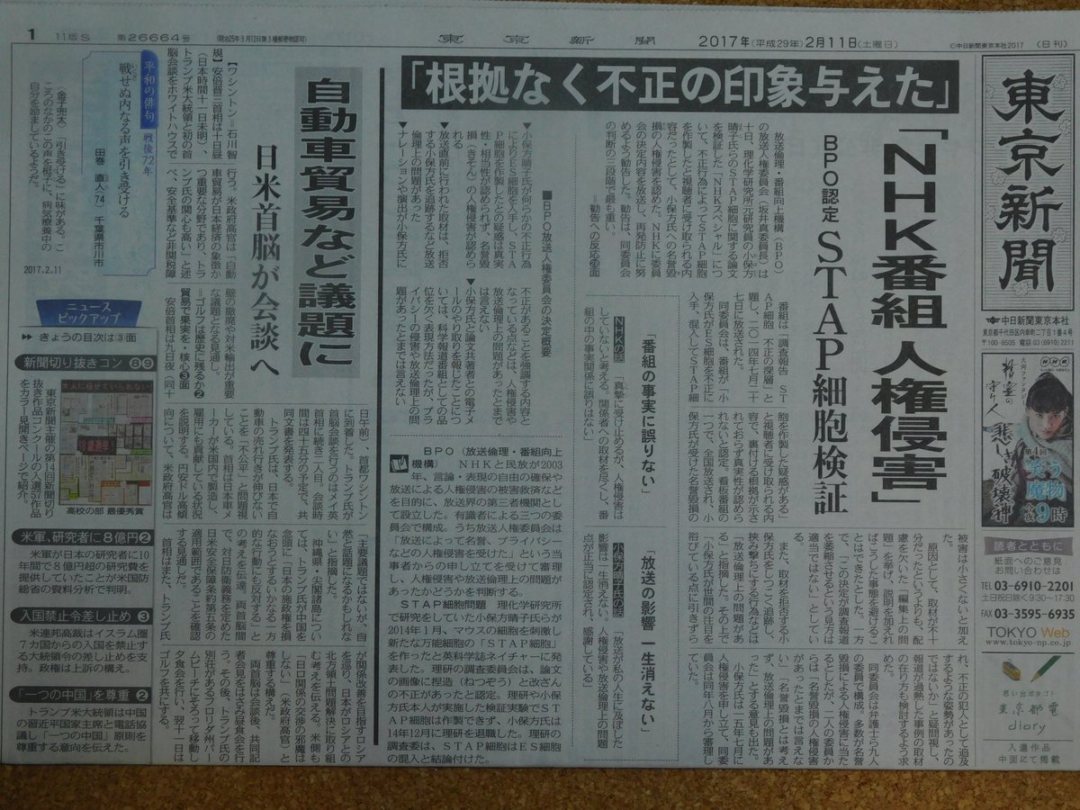 小保方春子 Twitter Search