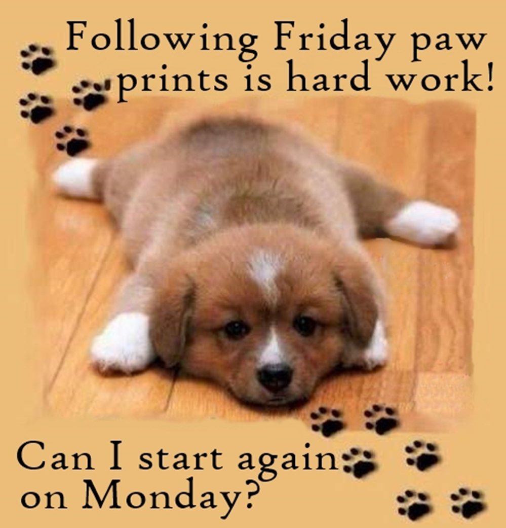 HillHamilton's tweet image. @lauriezkidz @AvrilSabine @nacauldron @spottedgeckgo @MacJ_Writer #FF