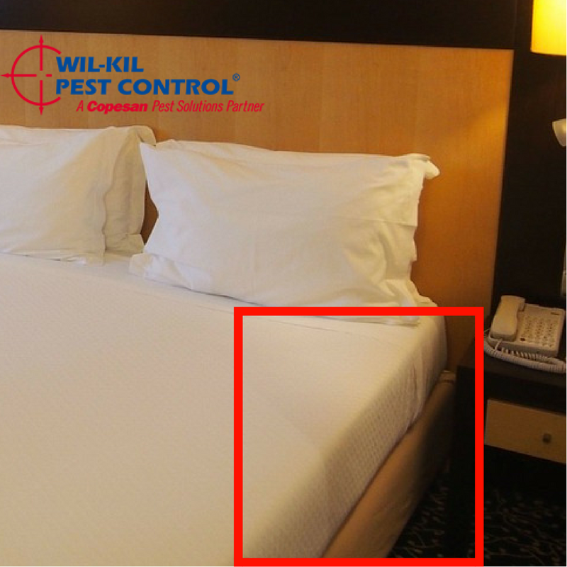 WilKilPest's tweet photo. Bed bugs like to be cozy. #CheckforBedBugs behind the headboard, in the seams of the mattress, the box spring and the legs of the bed frame. https://t.co/JU51Nut03g