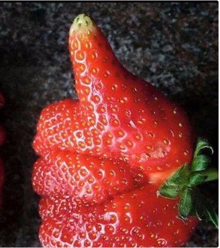 smarthouseaz's tweet photo. This needs to be a #chocate flavored thumb for your special valentine sweet heart #FridayFeeling #foodie #foodlover https://t.co/Egw8lj87oS