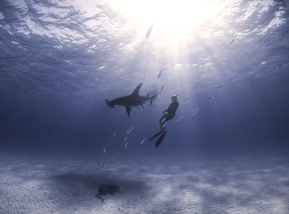 Our media director <a href="/OceanicAllstars/">Duncan Brake</a> enjoying the view. #Hammertime Image: <a href="/BiminiSharkGirl/">Jillian Morris-Brake</a>
