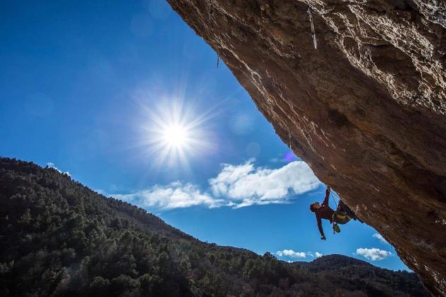 ClimbPl's tweet photo. Kamil Ferenc i Piotrek Schab 3 x 9a! Takiego dnia jeszcze nie było!!! ➡️https://t.co/74fdnOlQUn⬅️
#wspinanie #climbing #wspinaczka #outdoor https://t.co/QPe2q8Ydqs