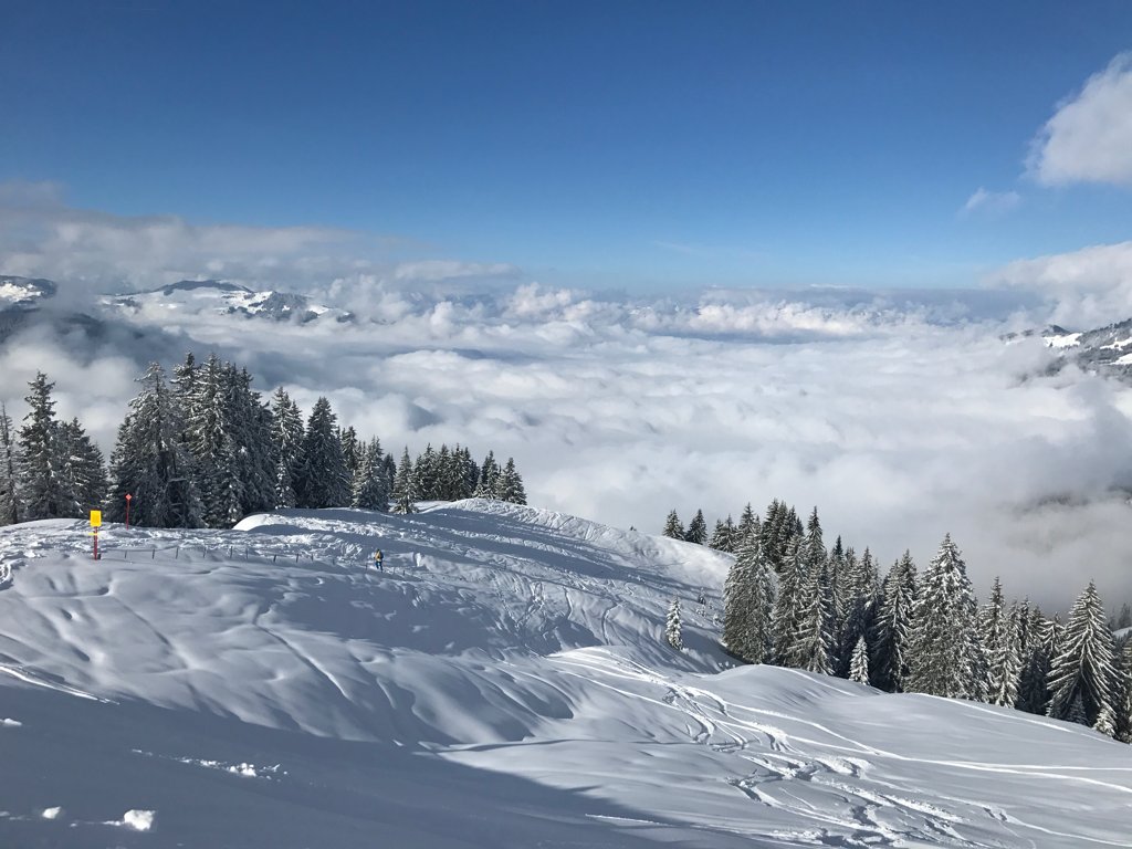 Ellmau_ski's tweet photo. Hope everyone has had a great week-this is our best photograph of the week! Anyone got any great #snowysnaps that could rival ours? #SkiWelt https://t.co/vj0WqIAYew