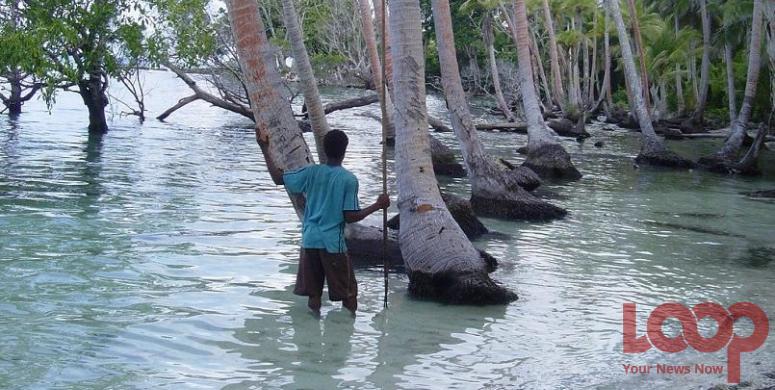 PNG News & Info tweet media