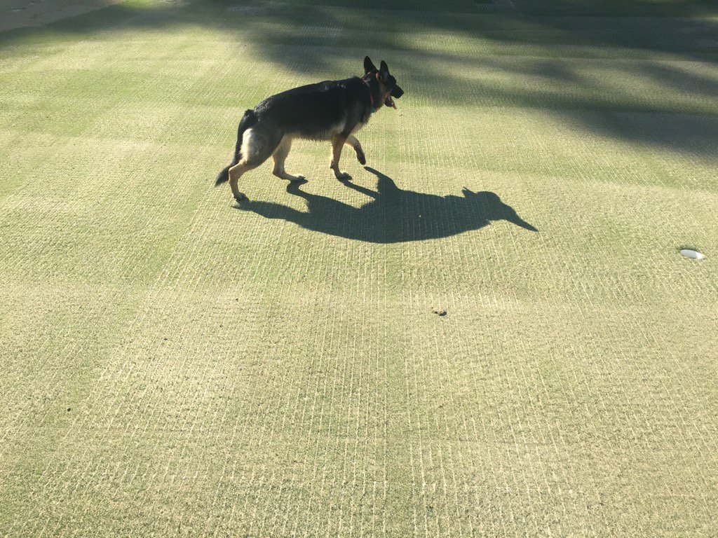 Justin Sims tweet media