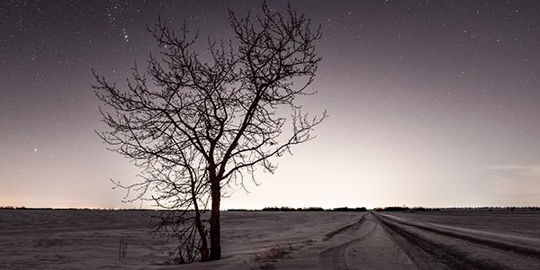 Have you checked this out? #TrailTalk #TheGreatTrail conta.cc/2kGfitg