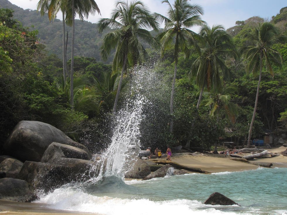 ColguestRentals's tweet photo. #PlayaPiscina en #SantaMarta es una playa de aguas tranquilas. Se llega a ella caminando adentrada en el bosque de #Tayrona. https://t.co/L2zOQknAlX