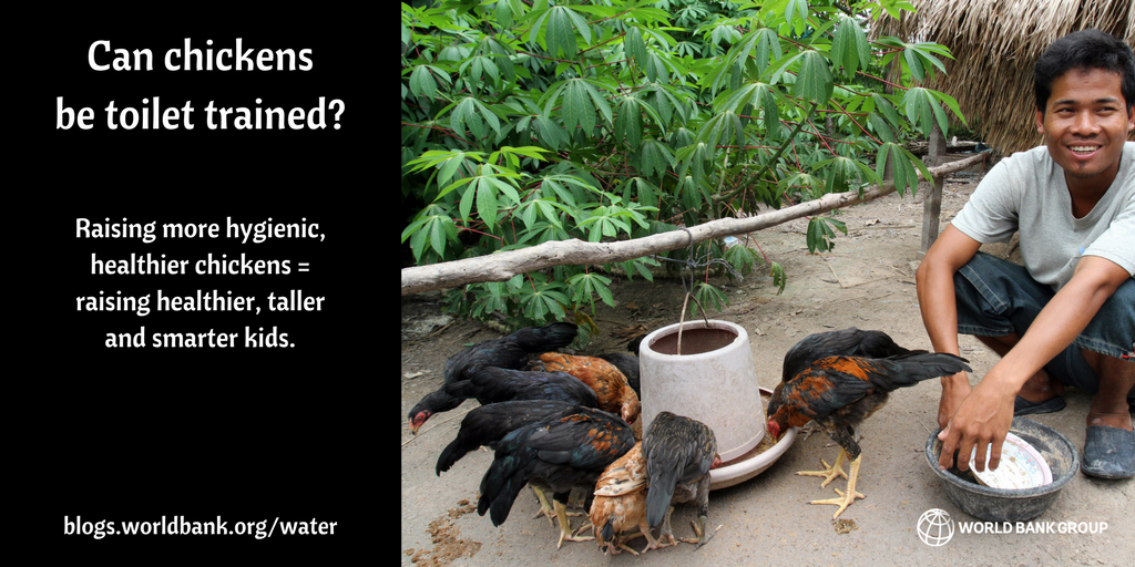 WorldBankWater's tweet image. Chickens using toilets is funny, right? Why it's no laughing matter [blog]: wrld.bg/5VDj308Tgvo #SDG6 #earlyyears #health