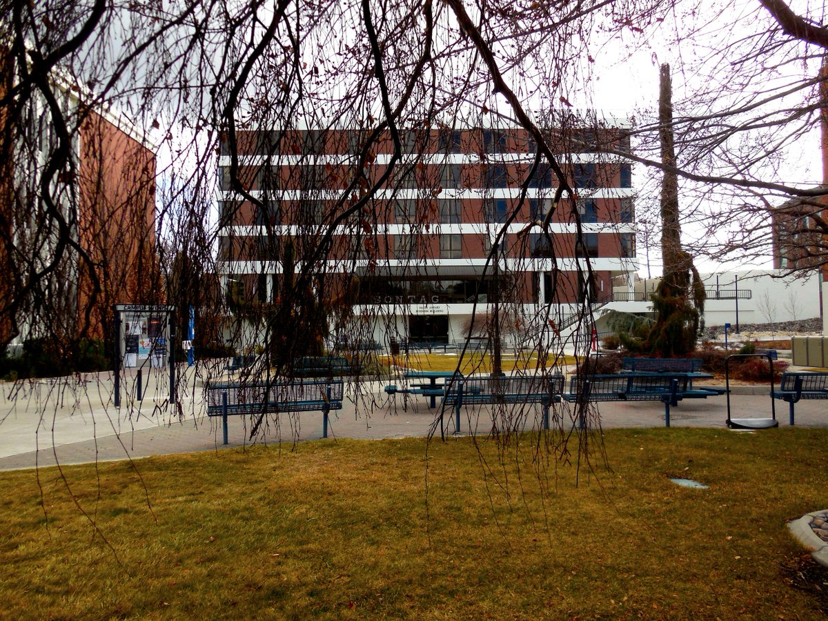 UNRtrees's tweet photo. When midterms are around the corner and everything just seems so bleak...
#treecampususa #midterms https://t.co/uUMSbojC0D