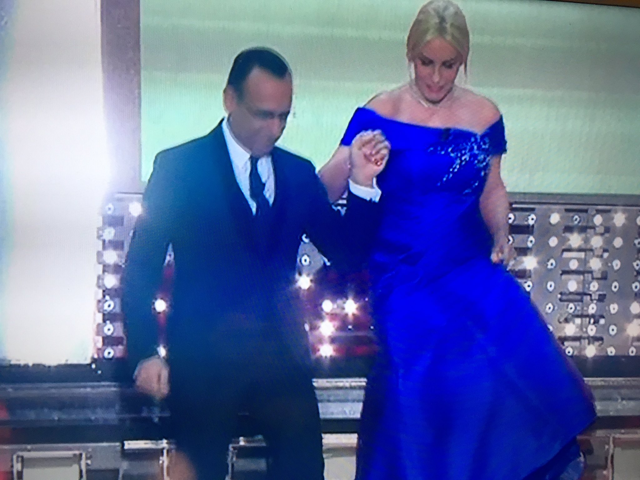 Semi castani come il cavallo a emorroidi