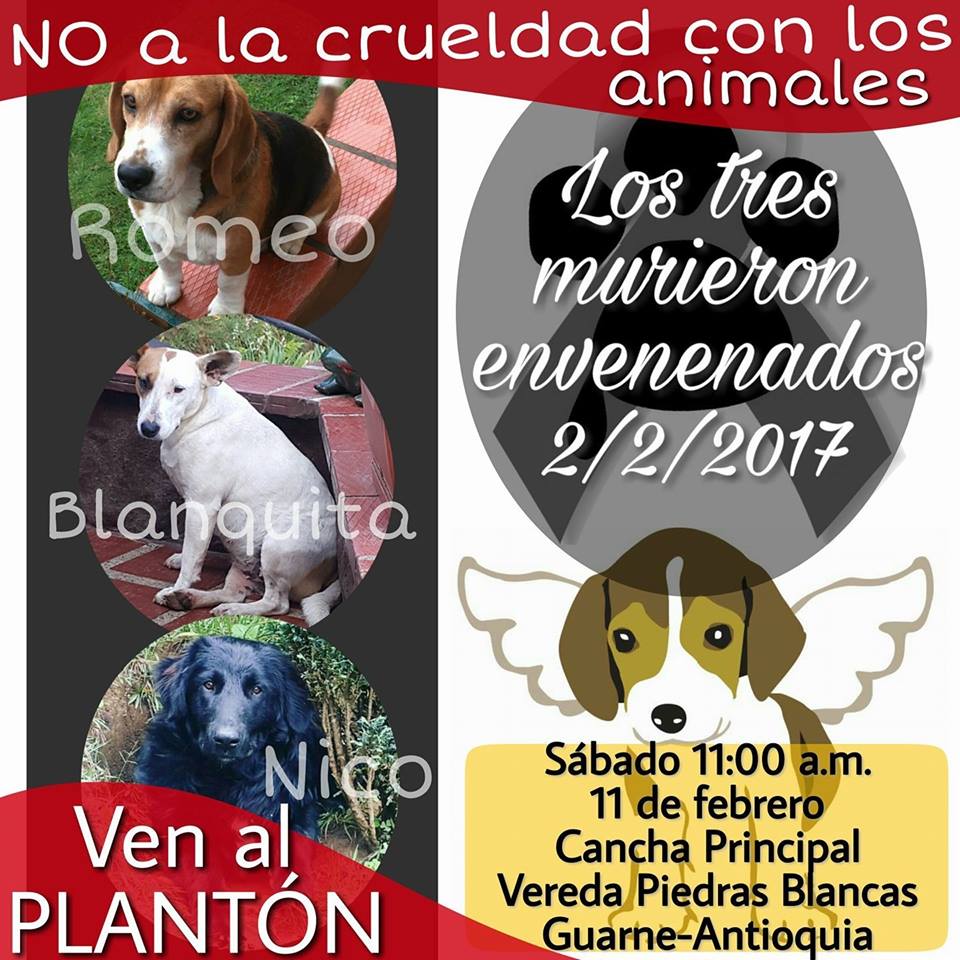 habitanteanimal's tweet photo. Mañana habrá plantón en Guarne por el envenenamiento de tres inocentes perritos @ElOrientePrensa @NoticiaOriente @OrienteTuyo @elcolombiano https://t.co/mm9zmIek9q