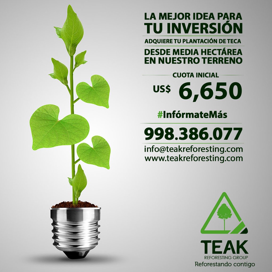 Teca_Peru's tweet photo. #InvierteEnTeca
#TeakReforestingGroup
#ReforestamosConTeca
#MaderaFinaDeExportación

https://t.co/wm5N8rtEVV https://t.co/gyNVuxpRzO