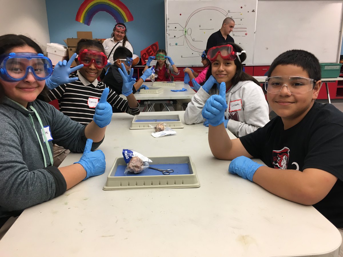 stevensonms1's tweet photo. Stevenson gifted magnet, 6th grade scientists at work! https://t.co/4xunl74dTh
