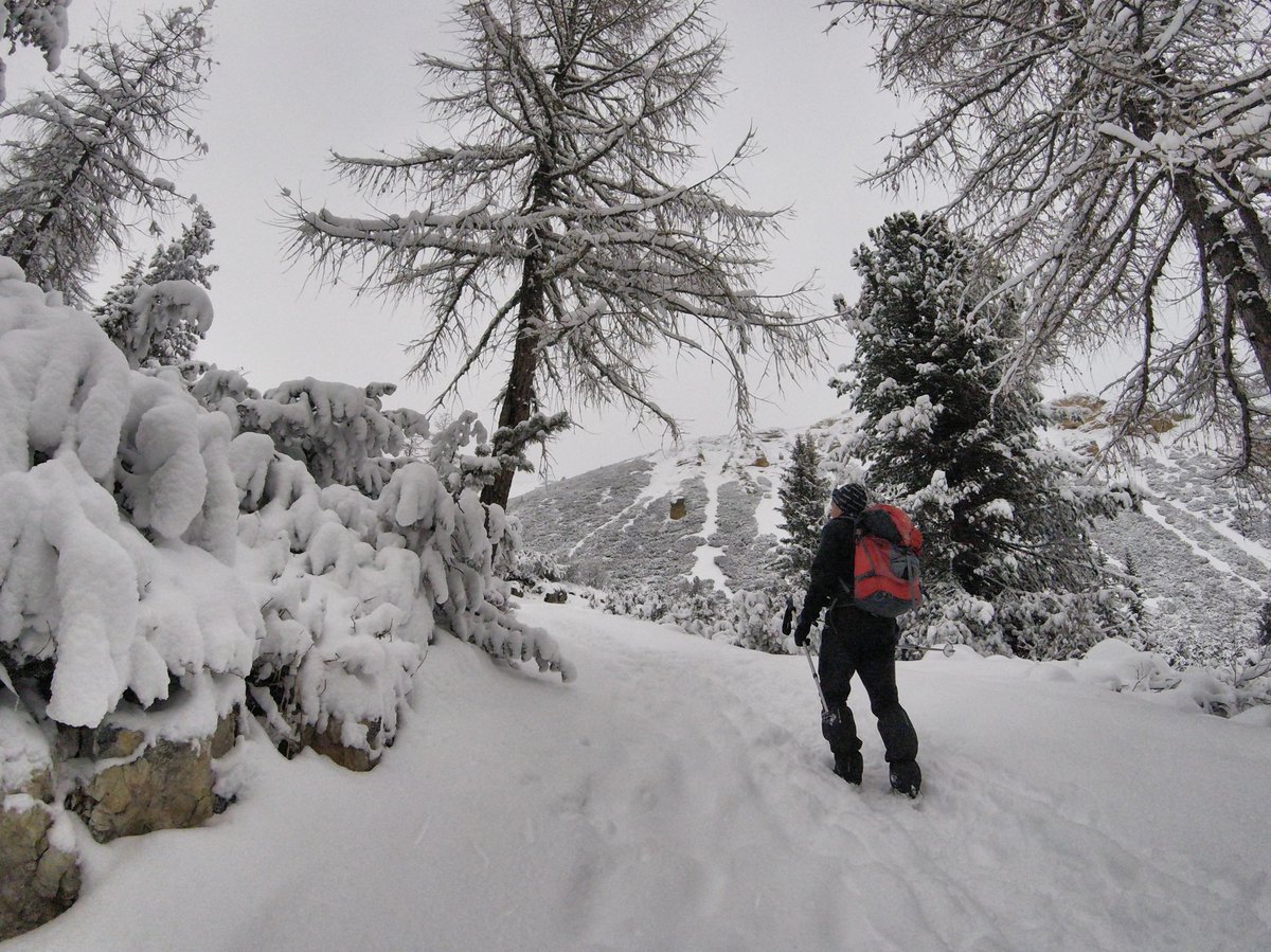 AGasperazzo's tweet photo. mountains #finallysnow #goprosession #dolomites https://t.co/PeM9Hl7i6N
