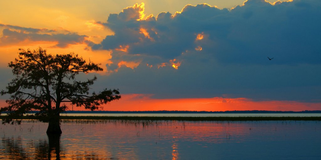 NPCA's tweet photo. If Congress reverses NPS drilling rules, 40 parks including Everglades and Grand Teton will be at risk. READ FAQ: https://t.co/XXzLLRsiBK https://t.co/4gkqT82dTT