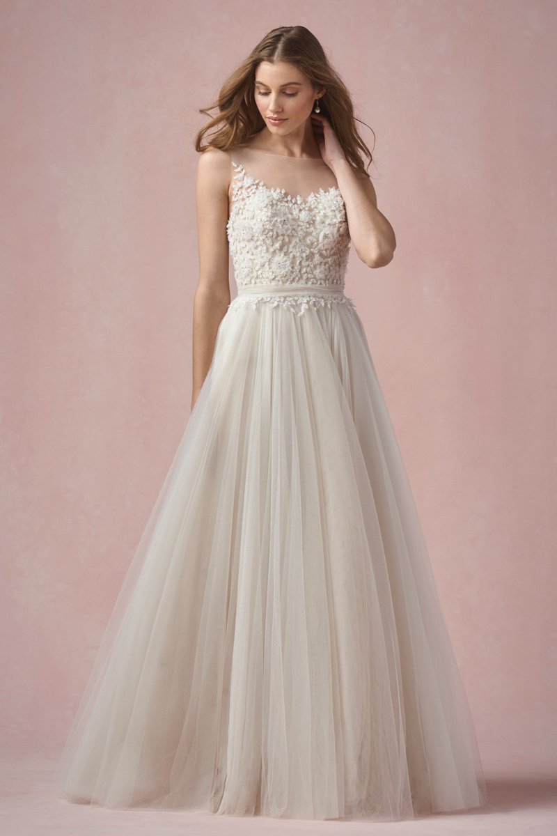 natterly tweet media