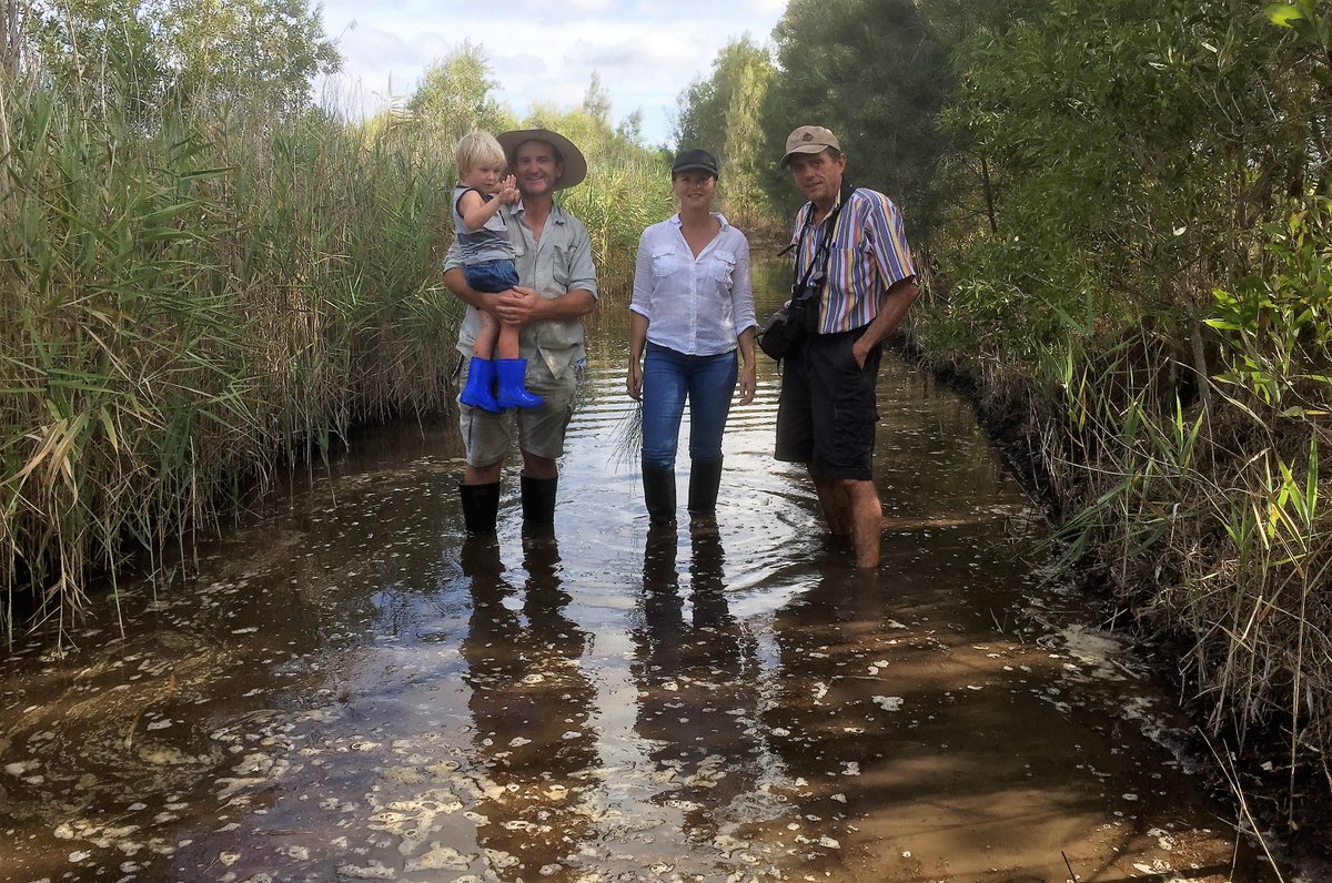 gregrobertsqld's tweet image. #yandinawetlands on #sunshinecoast to be rehabilitated by #unitywater great news #wildoz