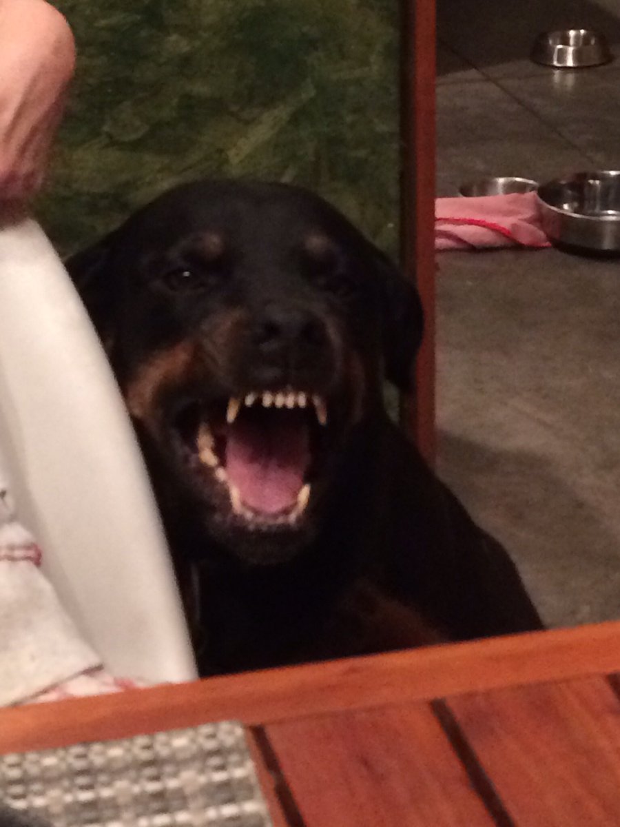 eric5280's tweet image. Strummer!