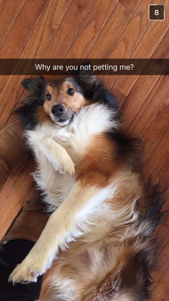 jennamar828's tweet photo. If I ever tell you you're the love of my life, I'm lying because it's actually Toby https://t.co/ja2OBWHRt6