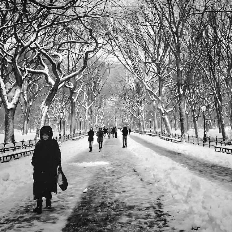 MeredithFrost's tweet photo. Gripped with bitter cold, yet never looked so good. #NYC https://t.co/XD72ngalgk
