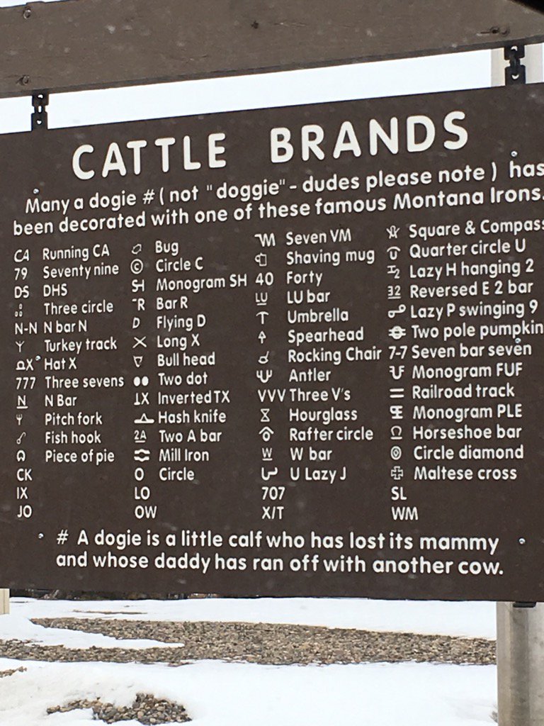 tlivers's tweet image. I thought it was a hashtag? #dogiesinmontana #cantmakethisup