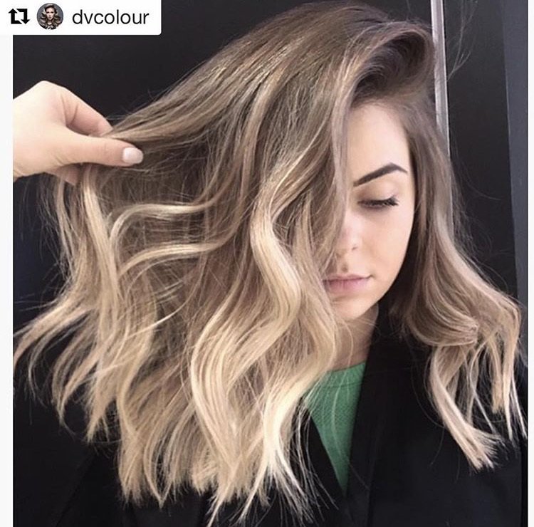 Fioriosquareone Fioriosquareone Twitter