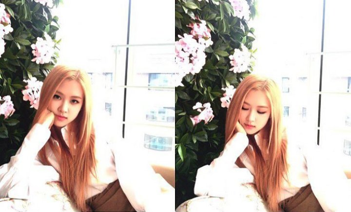 BEY0NDJJK's tweet photo. bae rose;
"your thorns made you unique; you never fail to amuse me"
#21stBaeRoseDay #BLACKPINK #BaeRose #PlLAYINGWITHFIRE https://t.co/ehCAoWfQsp