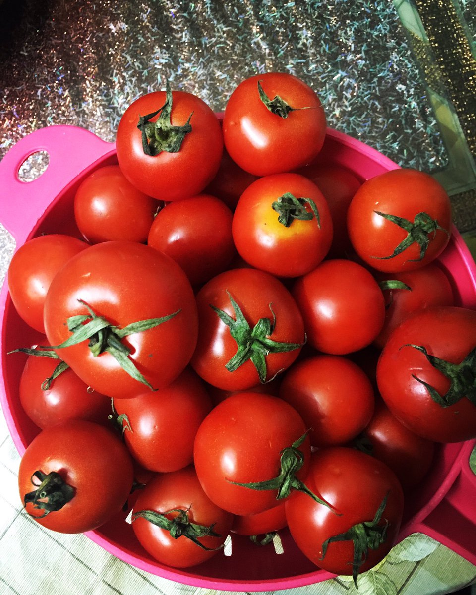 SiddharthV3's tweet image. How often do you find such piece of awe inspiring art work in an Indian middle class home.
#MiddleclassGlamour #IndianMiddleclass #Tomato