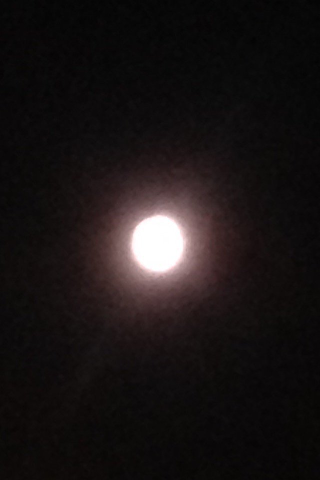 j_hoganb252's tweet photo. No eclipse yet ! #moonisbeautiful🌝🌛🌑 https://t.co/bIgw3KQ7QT