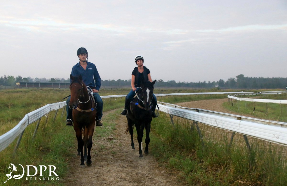 DPR_Breaking's tweet photo. Mandalong Emperor for @grnickson and Smiling Manolito for @cwallerracing working upsides this morning
#futurechampions #trackwork https://t.co/p4hM4eKWQh