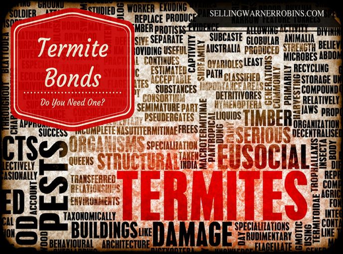 Anita_Clark's tweet photo. Do I Need a Termite Bond? https://t.co/dwAwLSHrd9 via @anita_clark #termites #termitebond https://t.co/dkQSuCRWRq