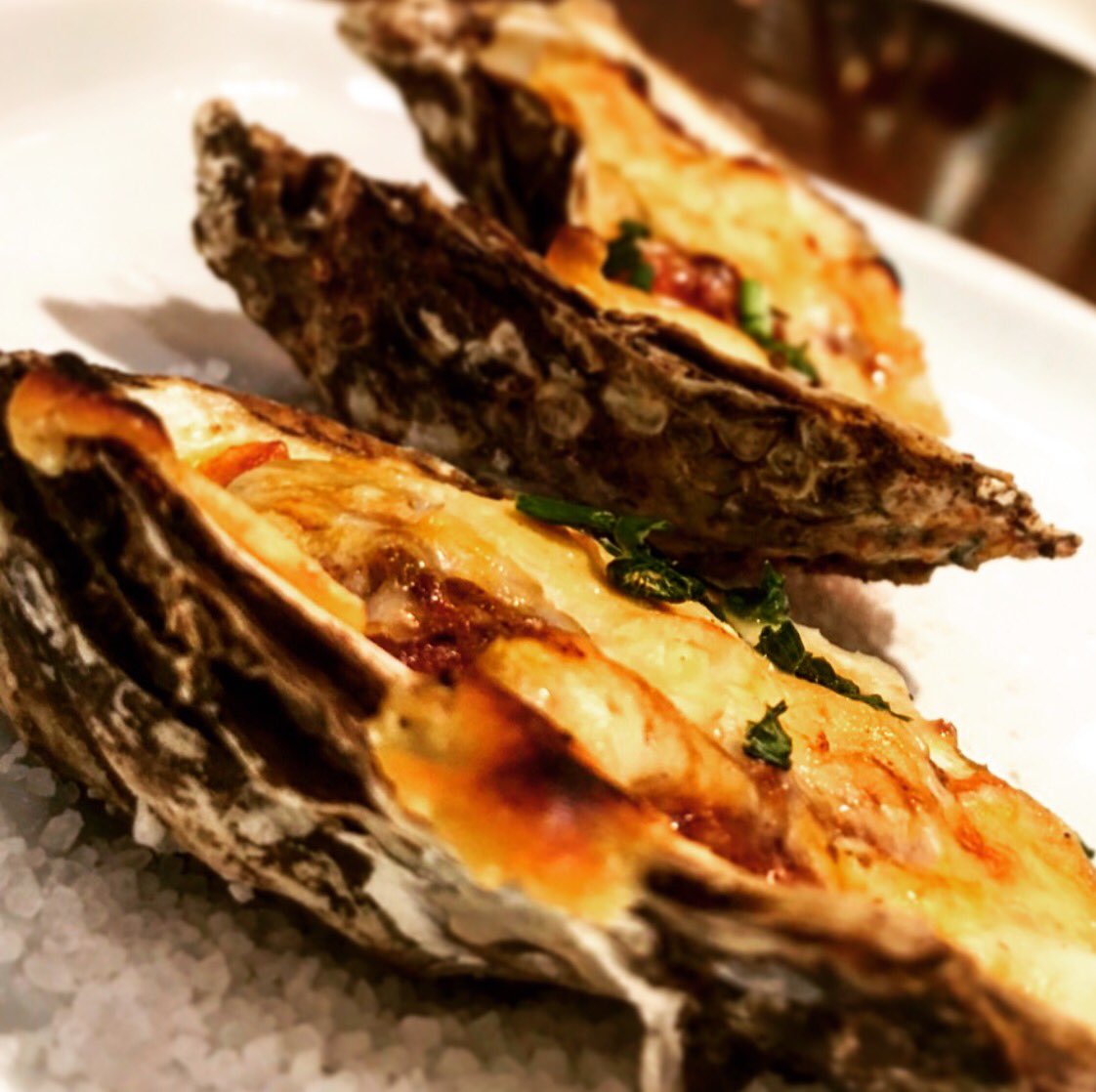 MktMtl's tweet photo. #ostriche gratinate #restomkt #downtownmtl #montreal #restomtl #mtlmoments #yummy #seafood #mtl #yul #mylblog #mrlblogger #mtlstop #mtlfood https://t.co/hgQm0ixSqh