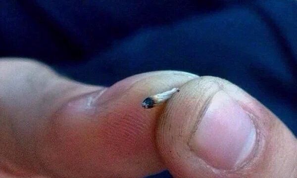 RxLeafMD's tweet photo. niggas be like "lets match!" https://t.co/EHQOBAAgmL