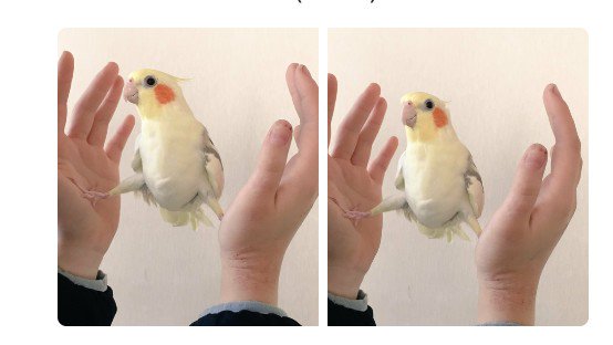 "What are these Pokemon and why do I feel inferior to them."