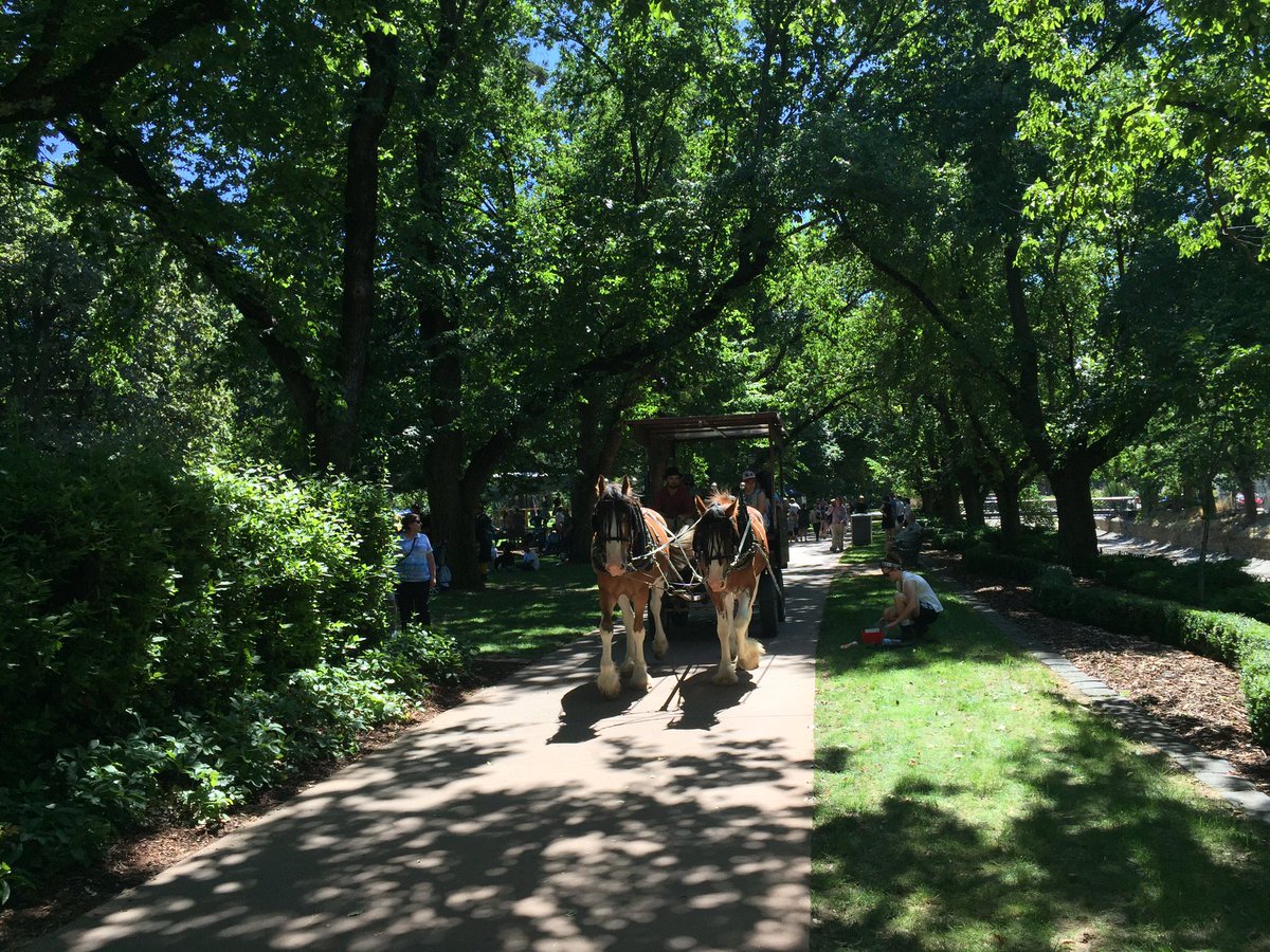 Natalie Croxon tweet media