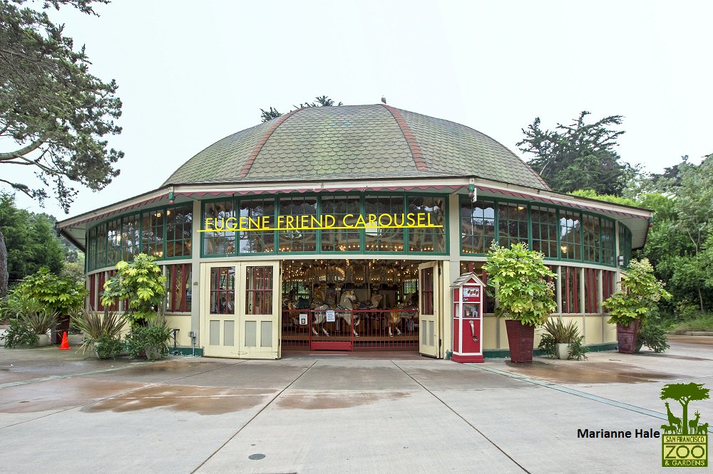 sfzoo's tweet photo. #MembersMorning is tomorrow at 9am! Don't miss the free carousel rides and the special #KeeperTalk at Puente al Sur at 9:30! https://t.co/eV87drX1x4