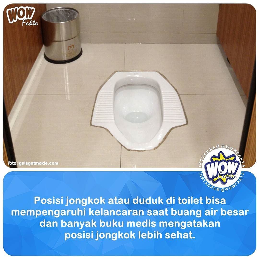 ift.tt/2kf2OYm [#wowfakta] Toilet Jongkok dan duduk mulai dibandingkan dan perdebatan muncul pada tahun 19…