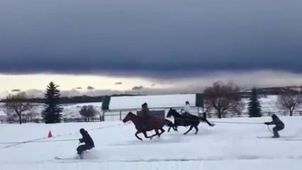 Heard of skijoring? Horses, skis &amp; cheese. What could go wrong?? Saturday <a href="/calgarypoloclub/">Calgary Polo Club</a> #SKIJORDUE #proudsponsor ow.ly/AKqV308OtaX
