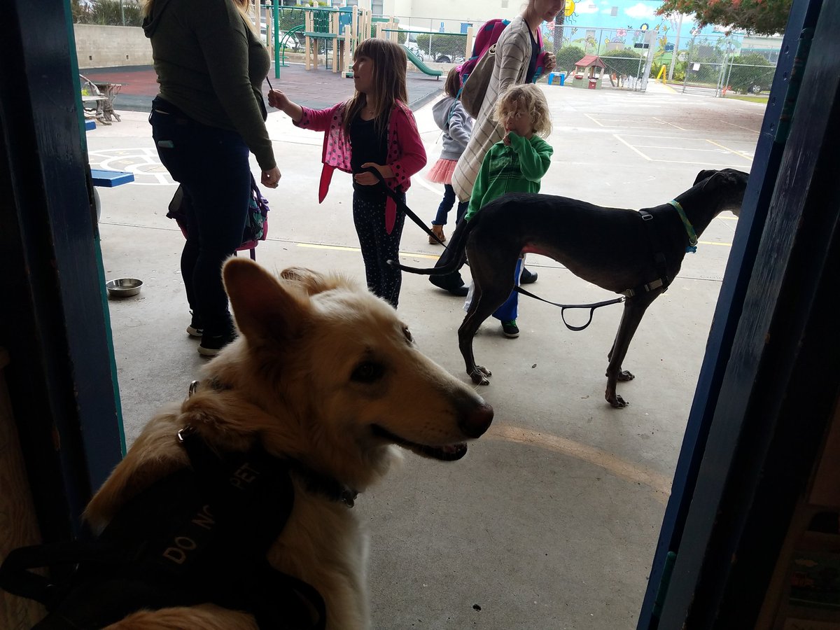 2PawzUp's tweet photo. #dogsatschool #therapydogintraining #readdog  #read #sandiego https://t.co/q2iHDIGqrg