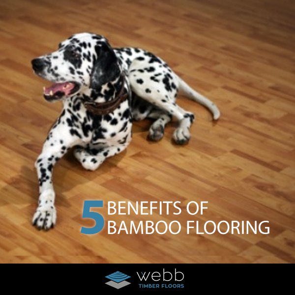 WebbT_Floors tweet picture