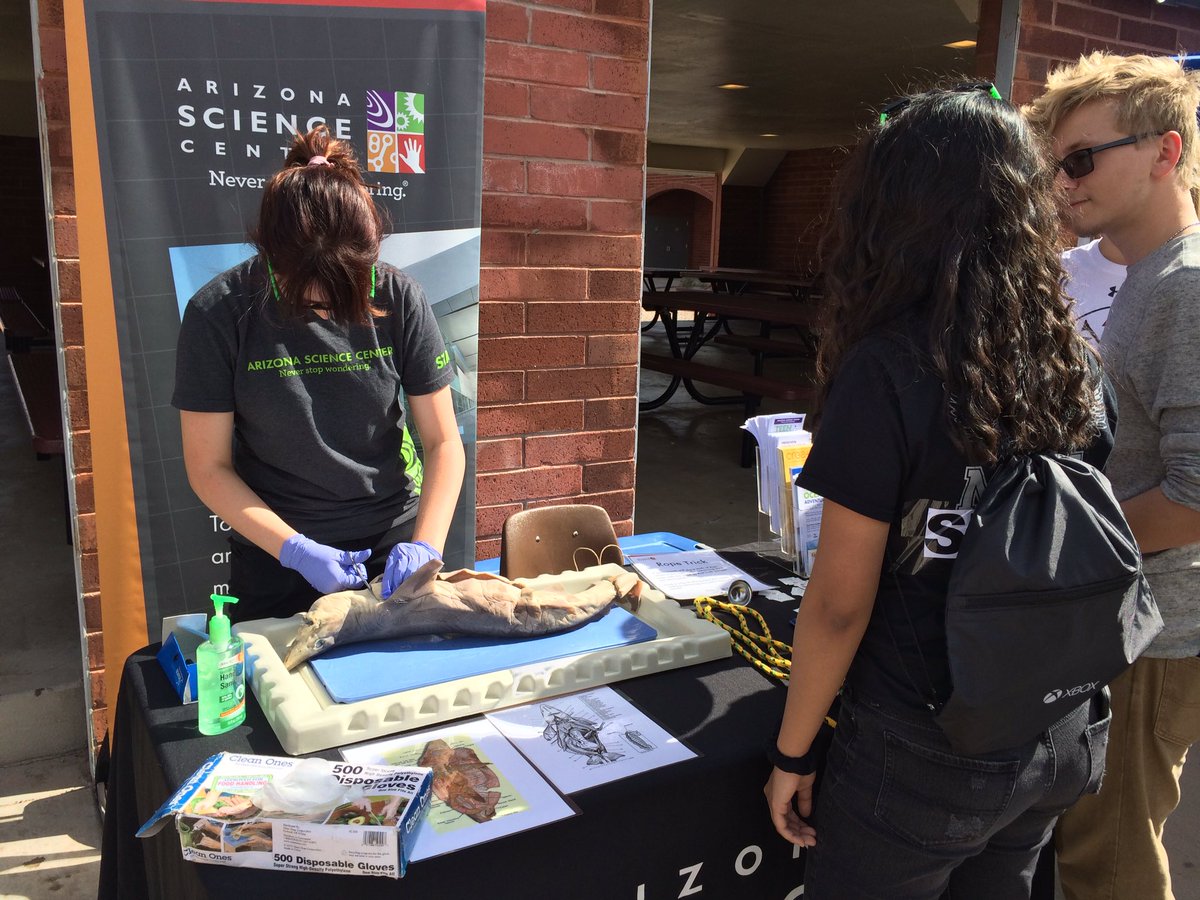 RMHSBioMed's tweet image. Fun times at RMHS STEM Day!!