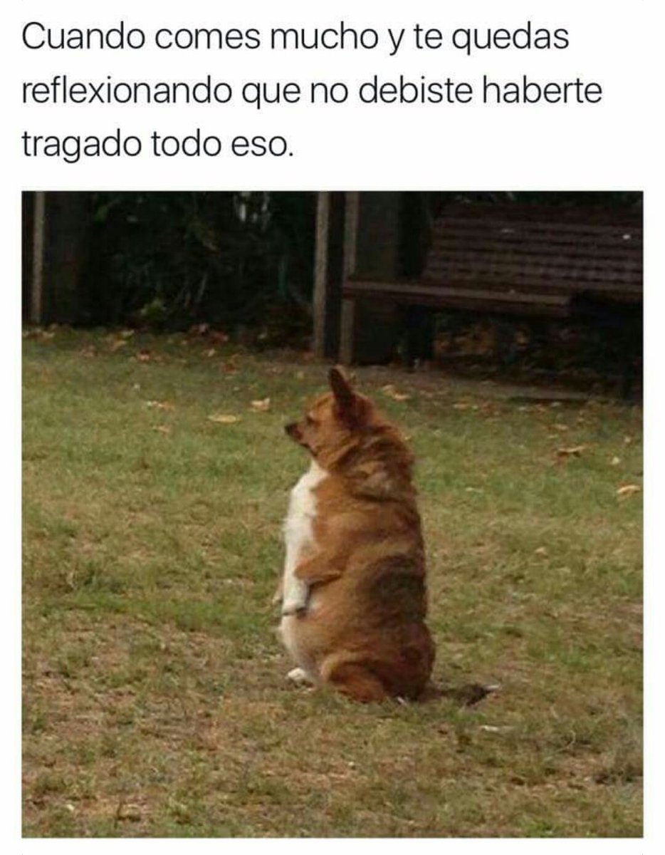 capture_fail's tweet image. 