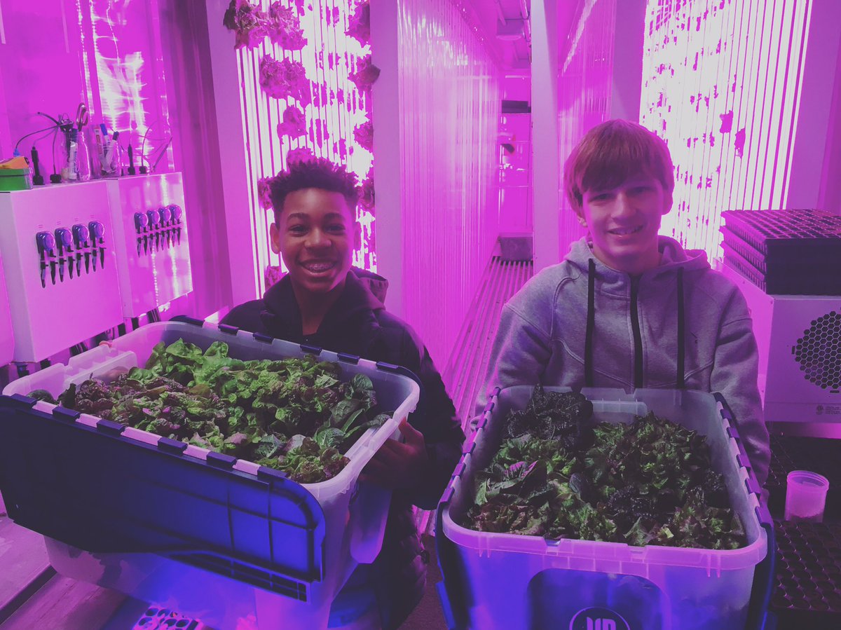 #socent young entrepreneurs