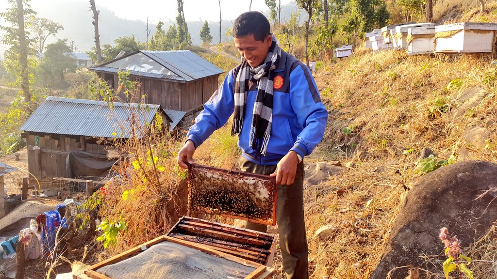 AsjaHanano's tweet photo. Sherbhadur Tamang used to live below poverty line + now earns 15,000 USD per year from beekeeping. Well done! @Welthungerhilfe https://t.co/FoAFFekurO