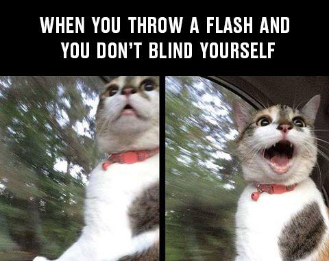 MODPowerUp's tweet image. 