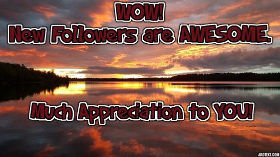 PennyHollick's tweet image. @ExtendedHandOrg @drhelenodessky @LindaBergmann88 @QuibellPaul 
@SimpleSteps4LL @CAA_Official @InsideExecutive @sphereprotect 
@ToddJudkins