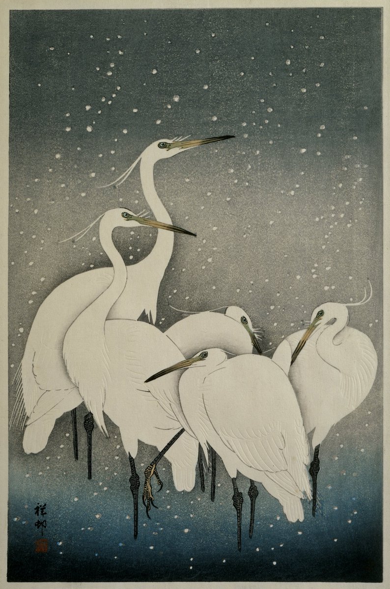 Object of the day: Group of Egrets, Ohara Koson, 1925 - 1936 bit.ly/2lBdXEs #sneeuw