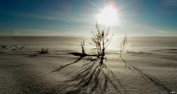 waleedalkuwait's tweet photo. وتَـالـلَّـهِ لَـوْلا حُـسْـنُ ظَـنِّـي بـخـالـقي
لَـفَـجَّـرْتُ بُـرْكـانـاً مِـنَ الـهَـمِّ خَـامِـدَا
.
وليد العازمي
.
#القريض https://t.co/L57wg5uQWm
